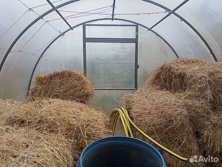 Сено на подстилку