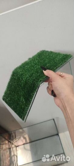 Мостик для черепах