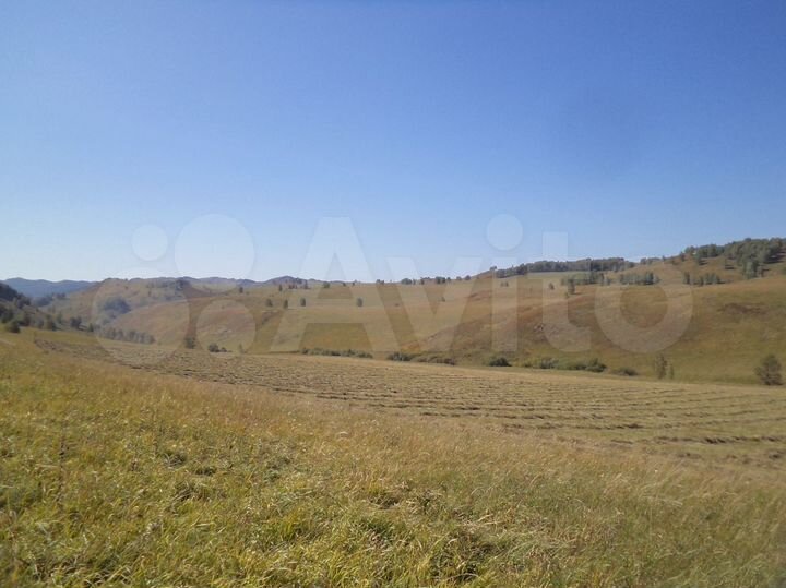 Участок 60 га (СНТ, ДНП)