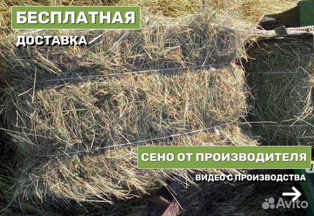 Сено в тюках