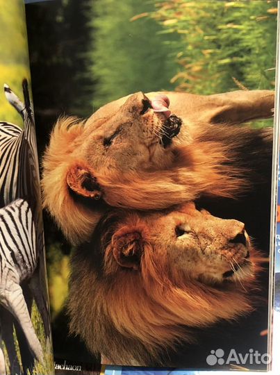 Книги детские