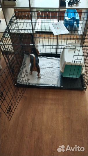 Клетка вольер для собак
