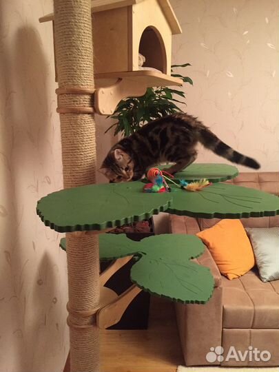 Игровой комплекс для кошек