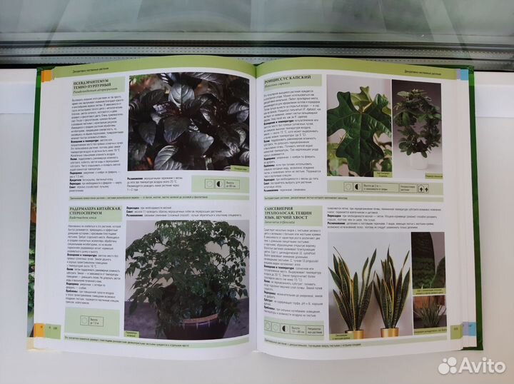 Книга Комнатные растения