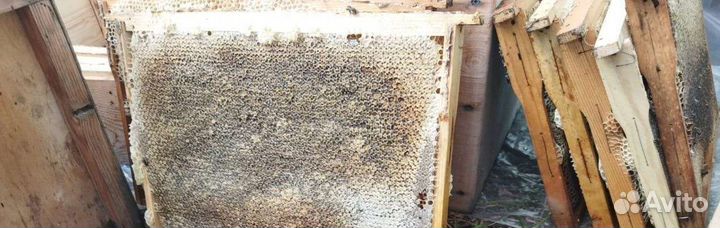 Мед Мёд разнотравье