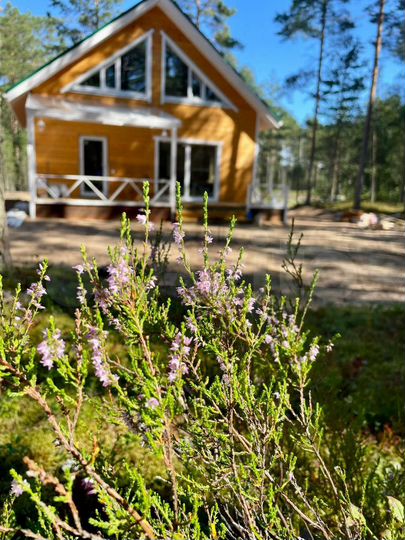 Коттедж 120 м² на участке 20 сот.