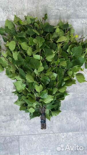 Веники для бани берёзовые