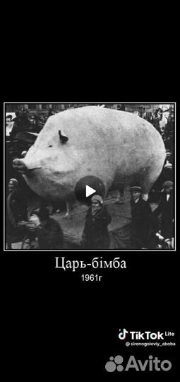 Картинка с царь бимбой