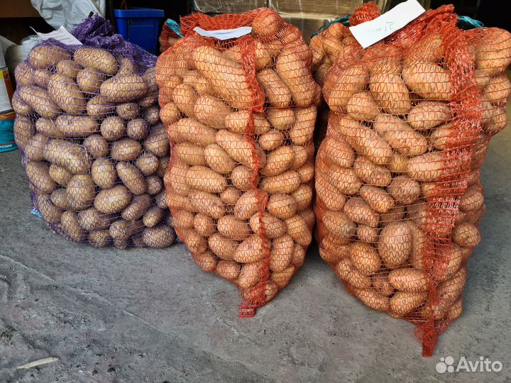 Продам картофель