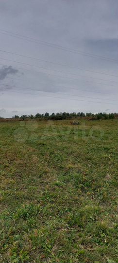 Участок 41 сот. (СНТ, ДНП)