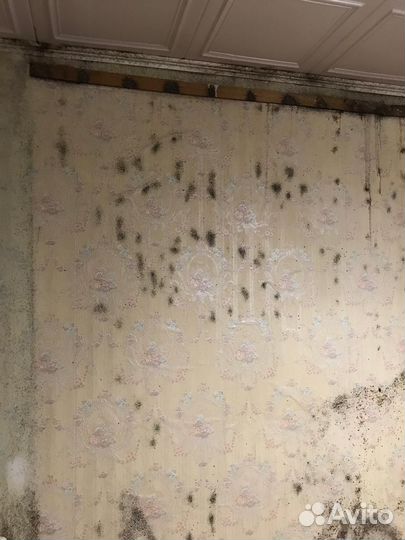 Уборка посче чп