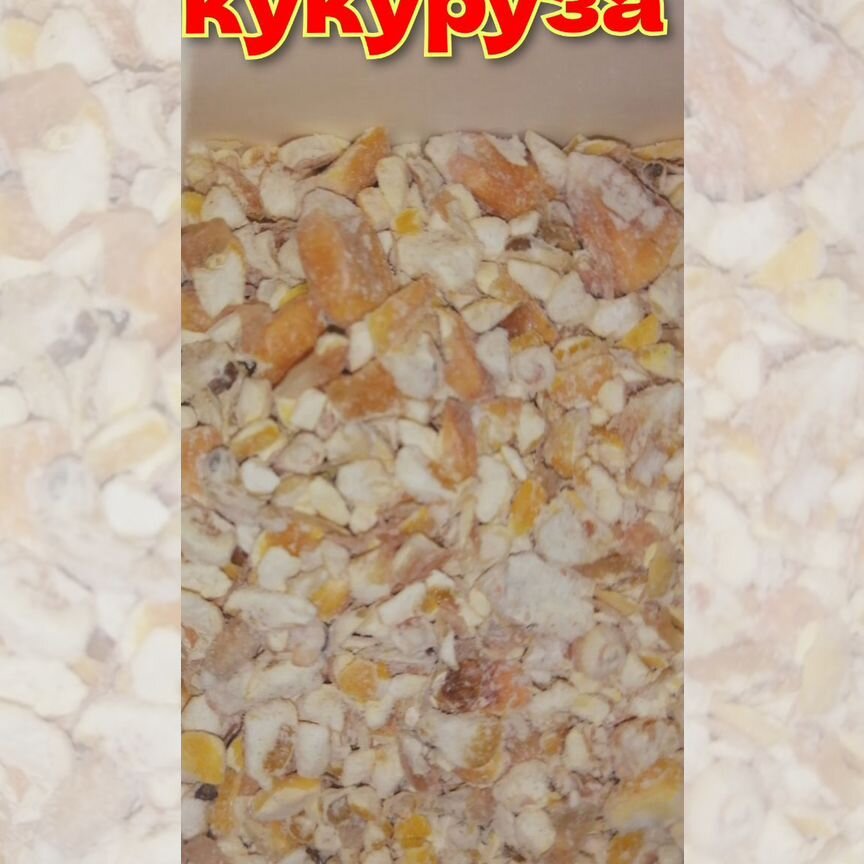 Кукуруза кормовая