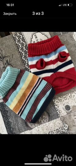 Одежда для собак