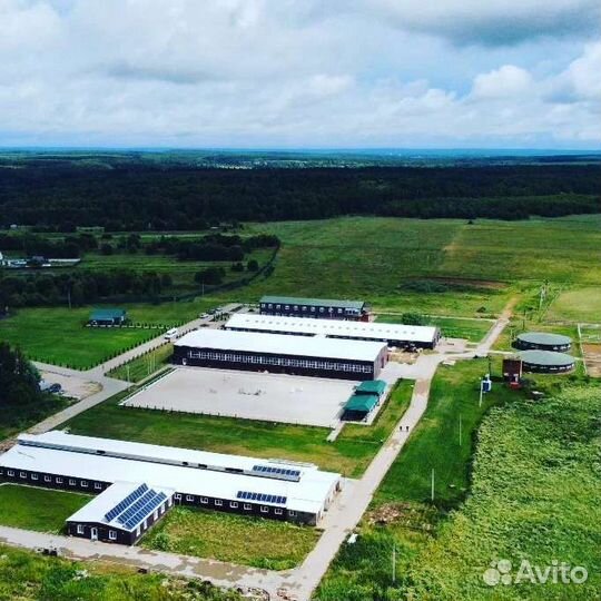 Постой для лошадей