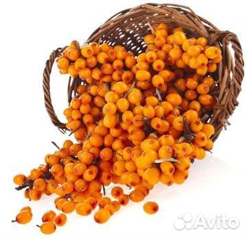 Облепиха ягоды. Чайные наборы