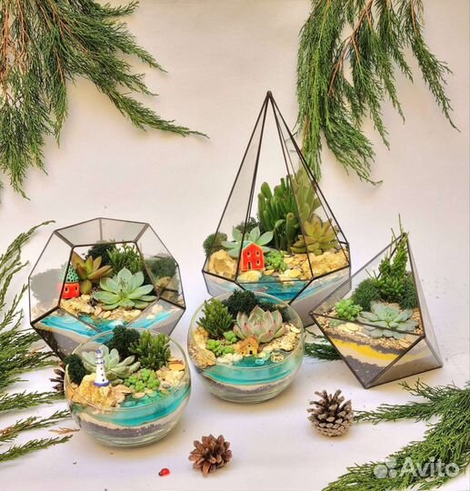 Флорариумы с суккулентами