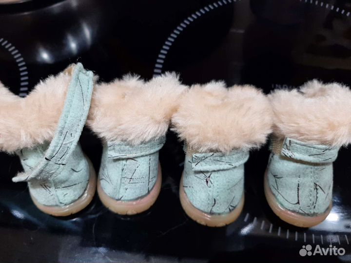 Обувь для маленьких собак