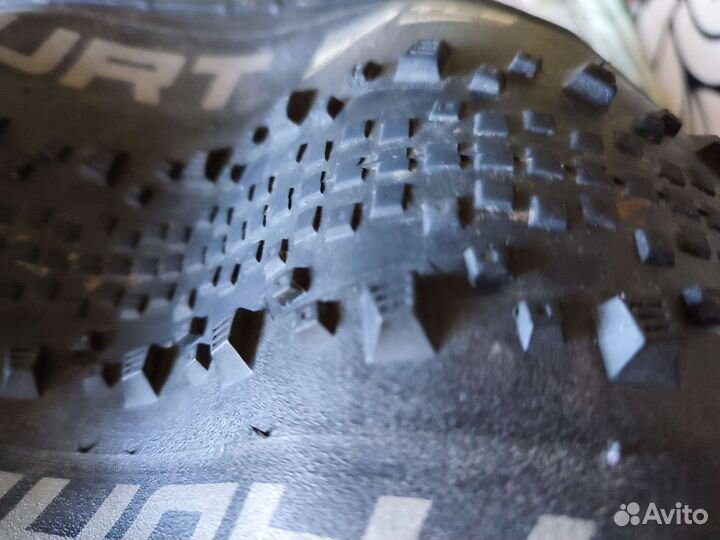Schwalbe Thunder Burt Evo 29