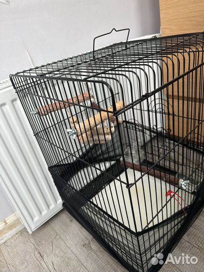Клетка для попугая