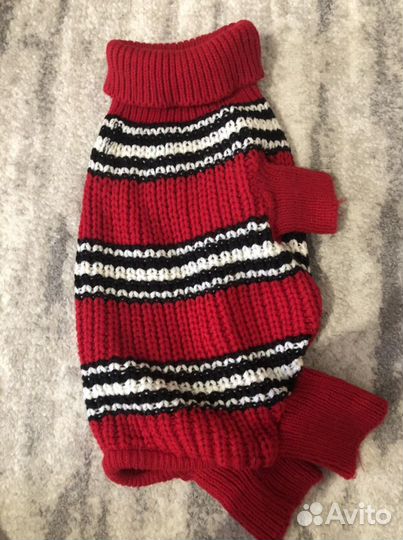 Одежда для собак