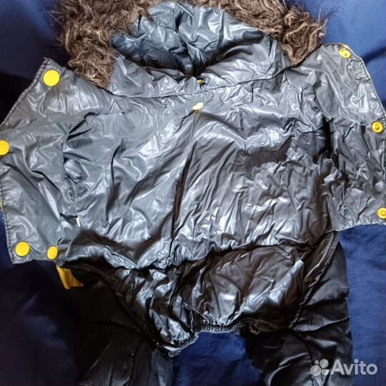 Комбинезон для собаки