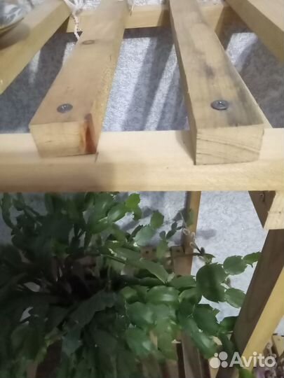 Стеллаж для рассады и цветов