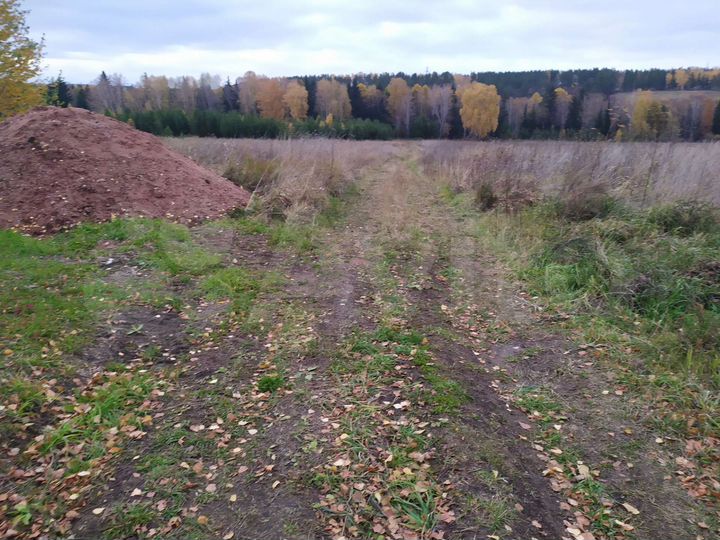 Участок 5 сот. (СНТ, ДНП)