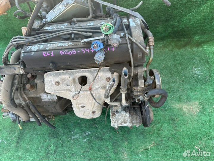 Двигатель Honda Stepwgn RF1 B20B 2001