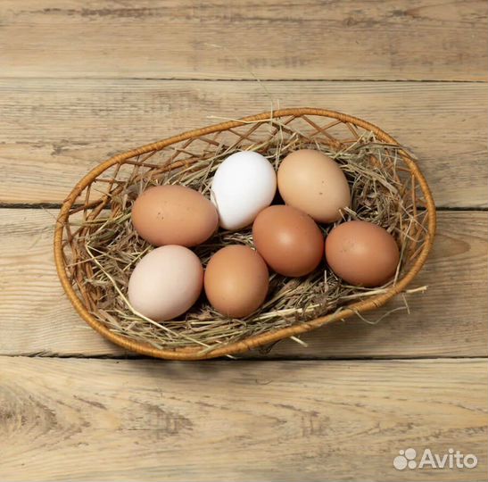 Домашние куриные яйца