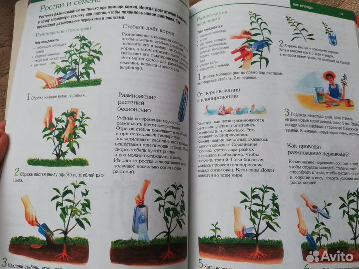 Занимательные эксперименты и опыты