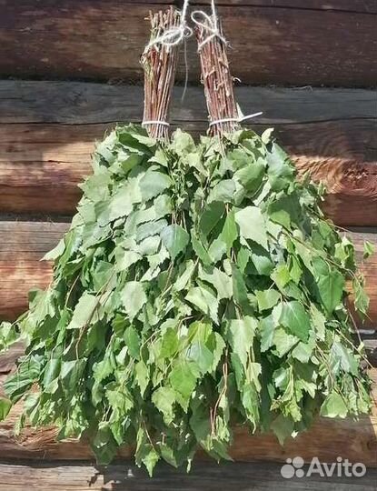 Березовые веники