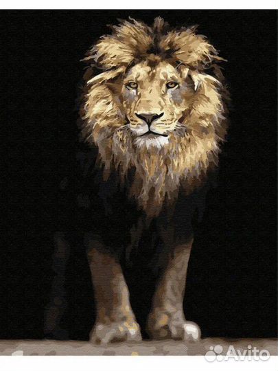 Картины по номерам на подрамнике новые