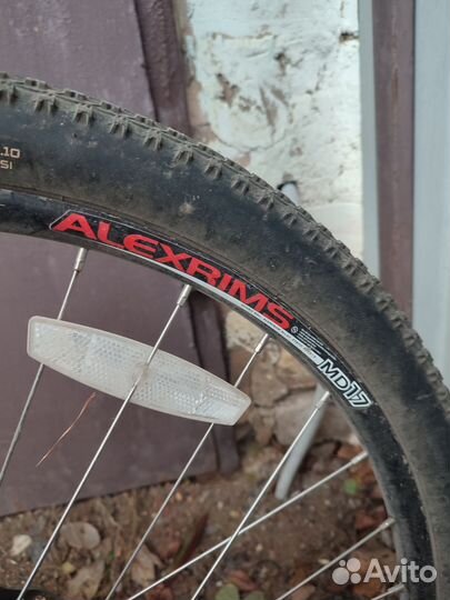 Gt avalanche 4.0 M