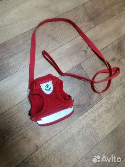 Поводок и шлейка