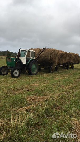 Сено в рулонах