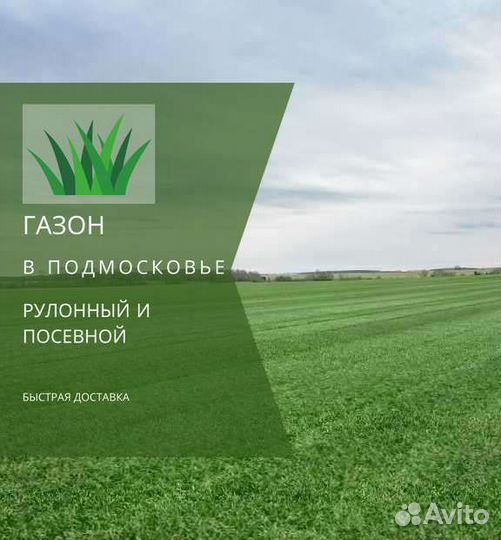 Рулонный газон