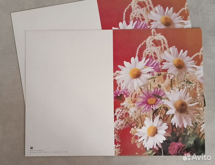 Открытки СССР