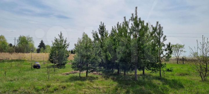 Участок 22 сот. (ИЖС)