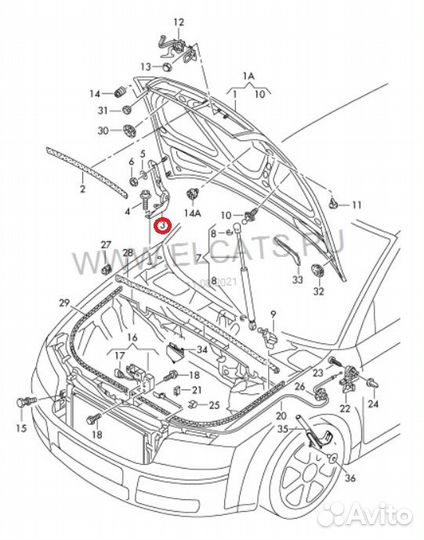 Петля капота левая Audi A4 B7 8EC BLB 2005