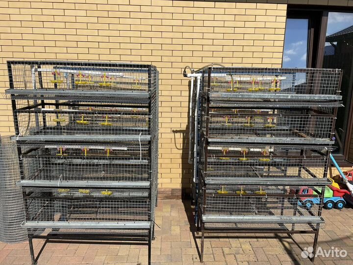 Клетки для перепелов