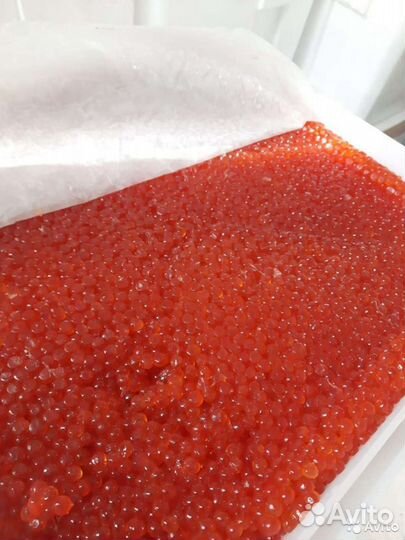 Красная икра: кета, горбуша, нерка, кижуч