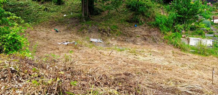 Участок 5,5 сот. (СНТ, ДНП)