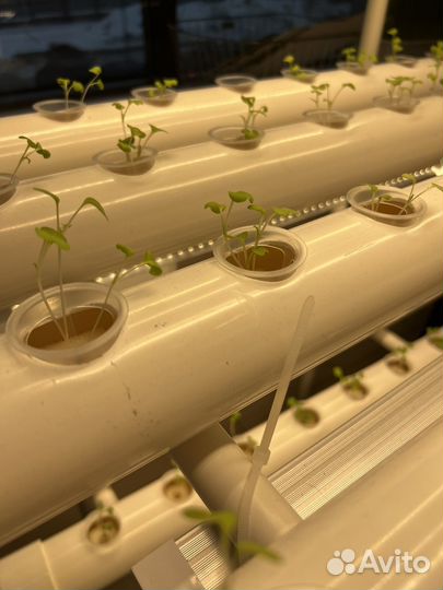 Установка для выращивания зелени и овощей