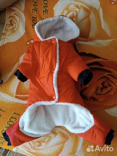 Одежда для собак