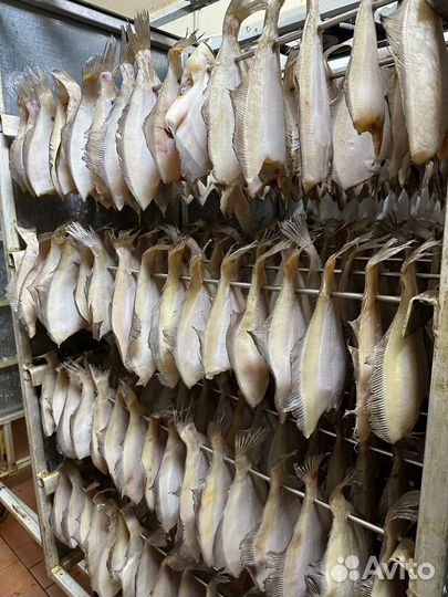 Камбала, корюшка, ерш