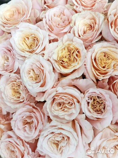 Цветы розы и букеты с доставкой 24 часа Саранск