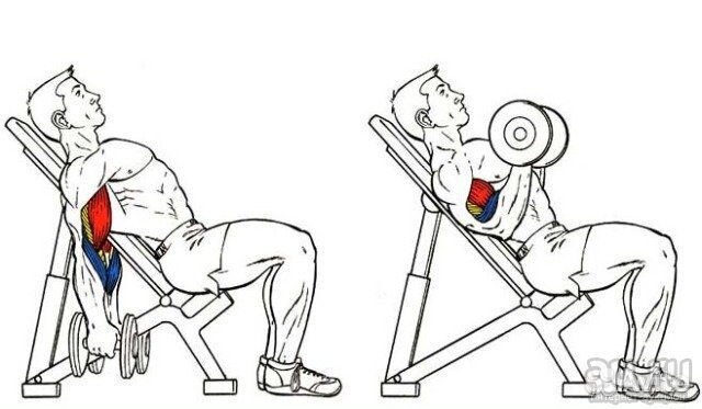 Тренажер Стойки и Скамья Силовая