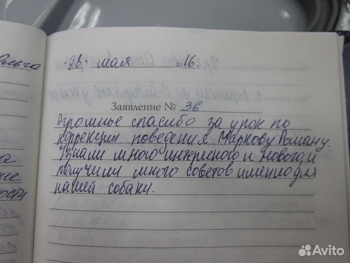Школа дрессировки собак Воронеж, Услуги кинолога