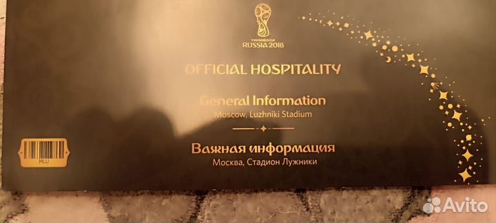 Уникальный WIP билет на Чемпионат мира по футболу