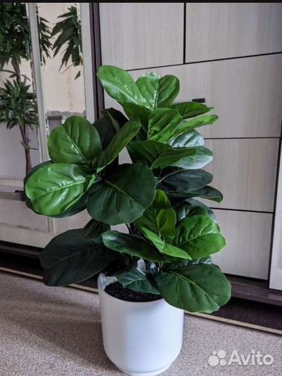 Искусственные растения и цветы